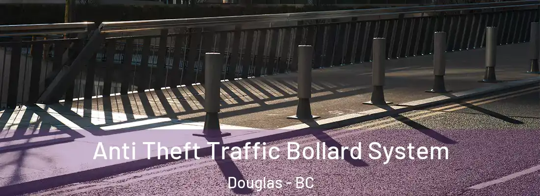  Anti Theft Traffic Bollard System Douglas - BC
