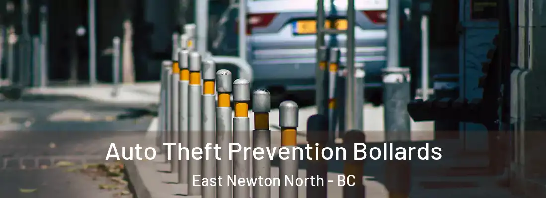  Auto Theft Prevention Bollards East Newton North - BC