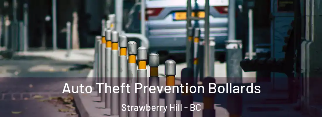  Auto Theft Prevention Bollards Strawberry Hill - BC