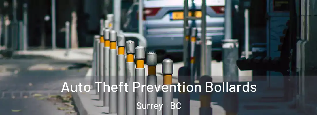  Auto Theft Prevention Bollards Surrey - BC