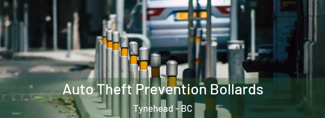  Auto Theft Prevention Bollards Tynehead - BC