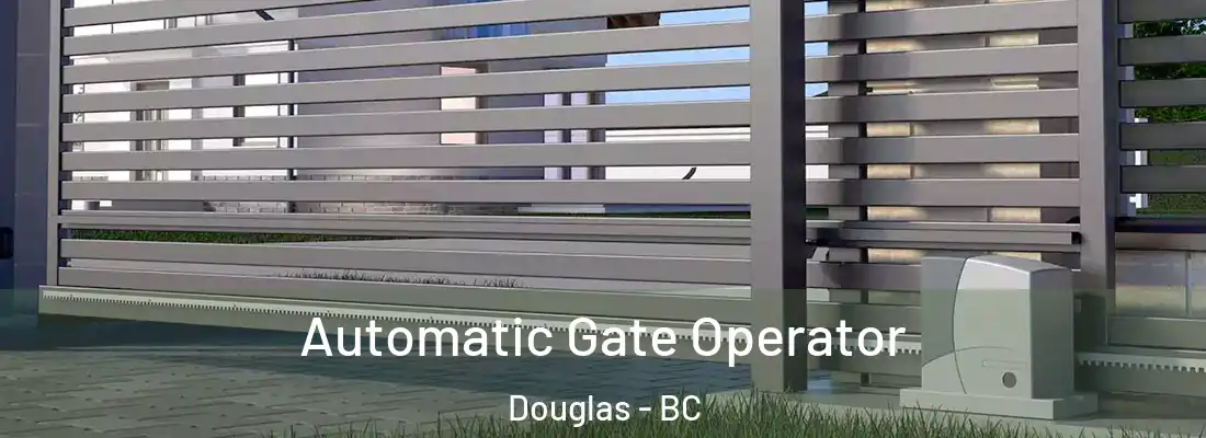  Automatic Gate Operator Douglas - BC