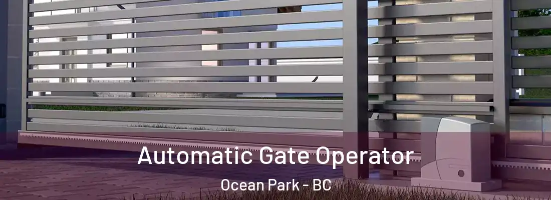  Automatic Gate Operator Ocean Park - BC