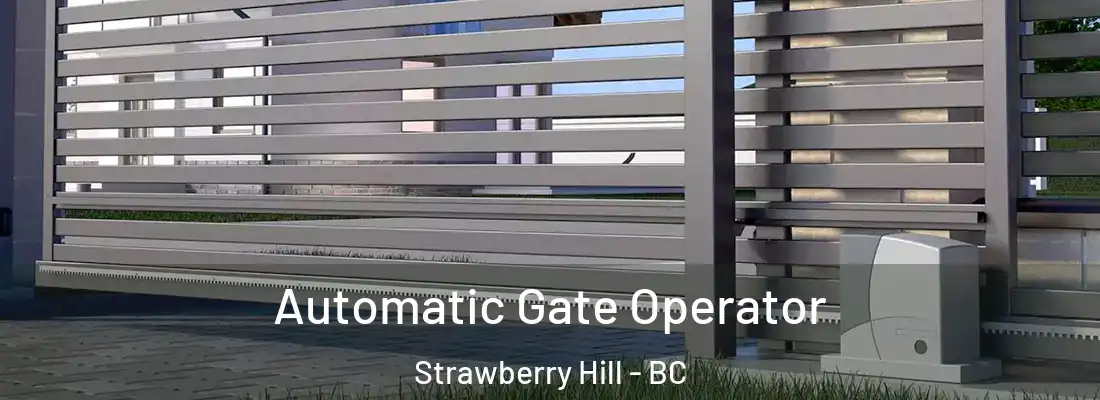  Automatic Gate Operator Strawberry Hill - BC