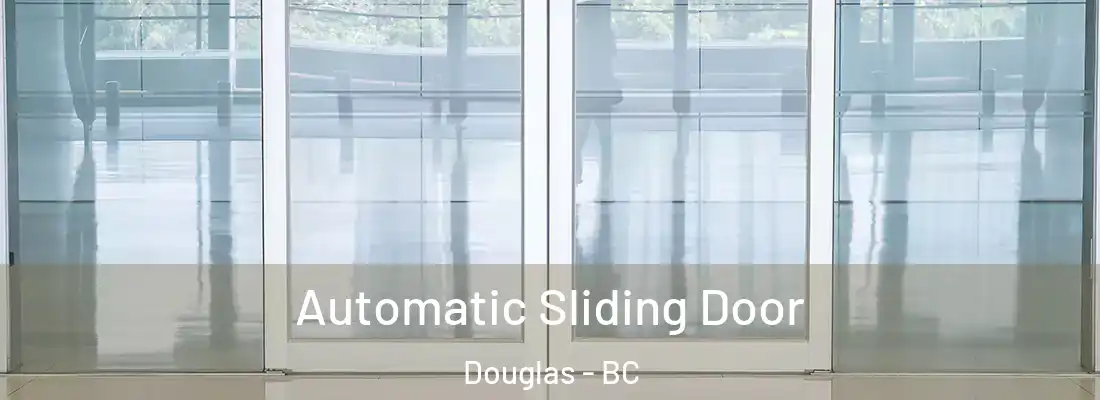  Automatic Sliding Door Douglas - BC