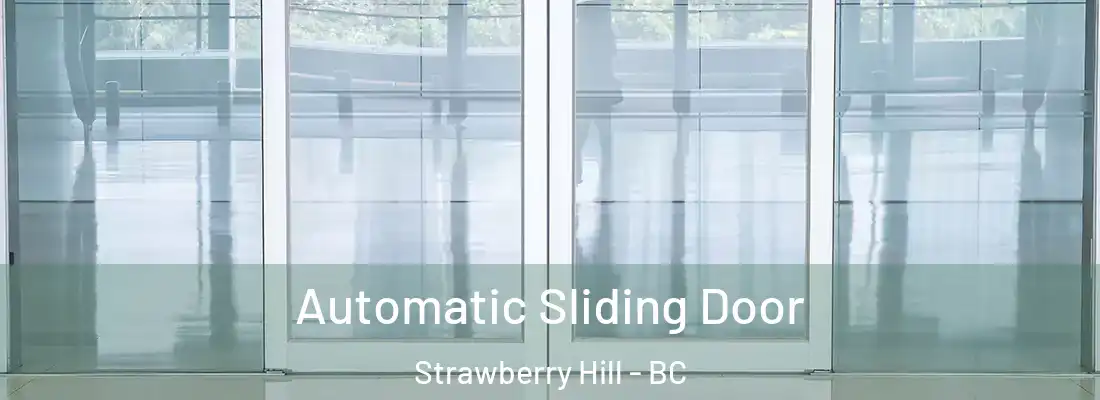  Automatic Sliding Door Strawberry Hill - BC
