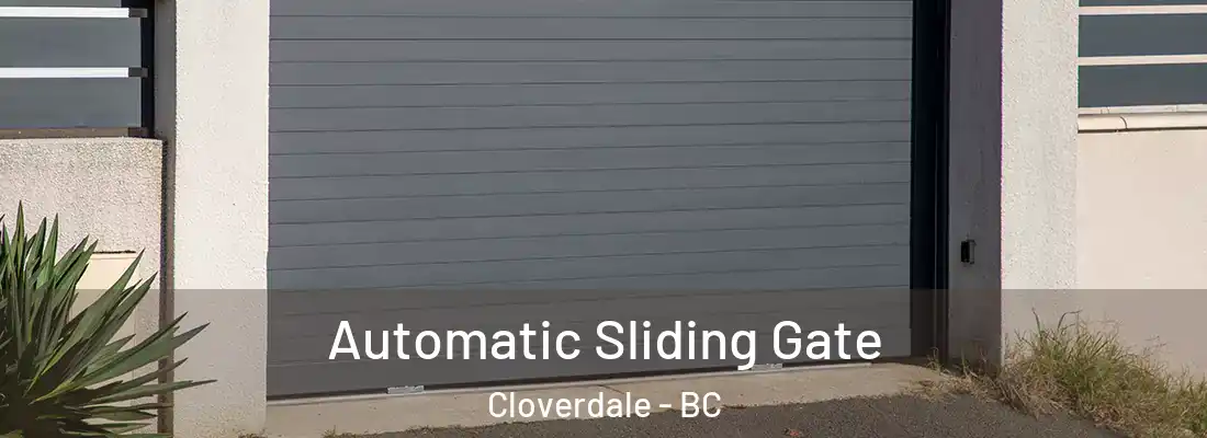  Automatic Sliding Gate Cloverdale - BC