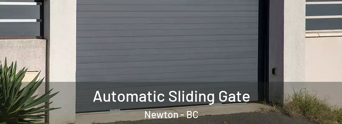  Automatic Sliding Gate Newton - BC
