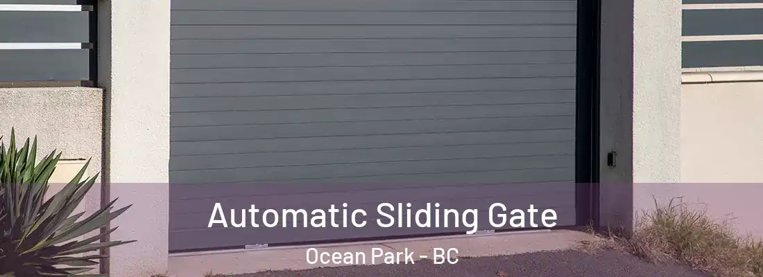  Automatic Sliding Gate Ocean Park - BC