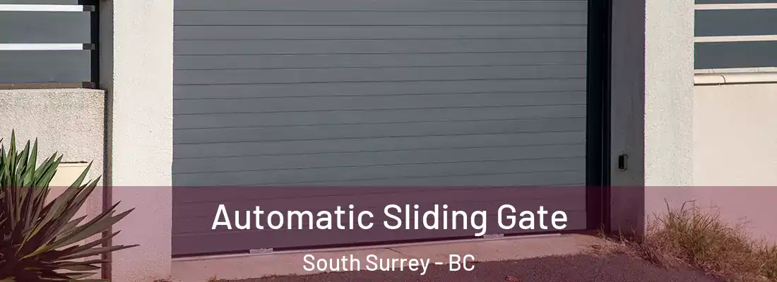  Automatic Sliding Gate South Surrey - BC
