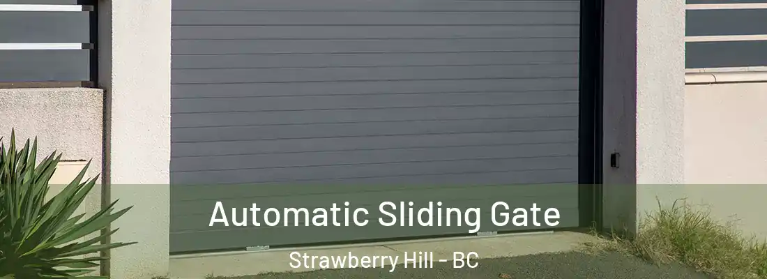  Automatic Sliding Gate Strawberry Hill - BC