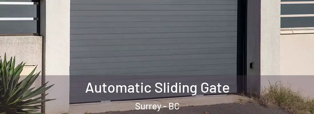  Automatic Sliding Gate Surrey - BC