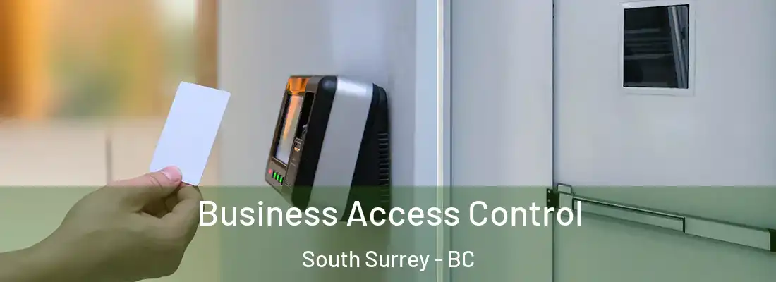  Business Access Control South Surrey - BC