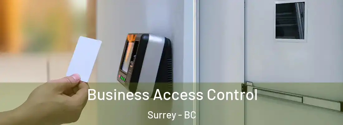  Business Access Control Surrey - BC