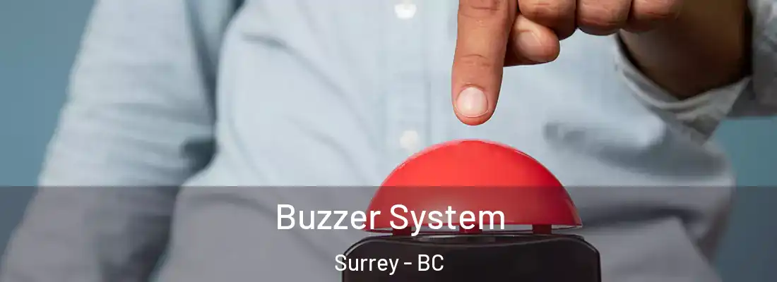  Buzzer System Surrey - BC