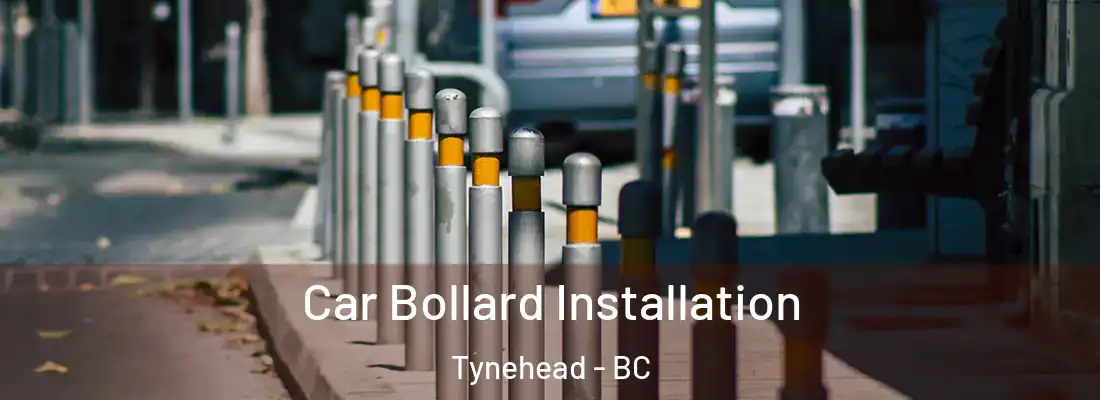  Car Bollard Installation Tynehead - BC