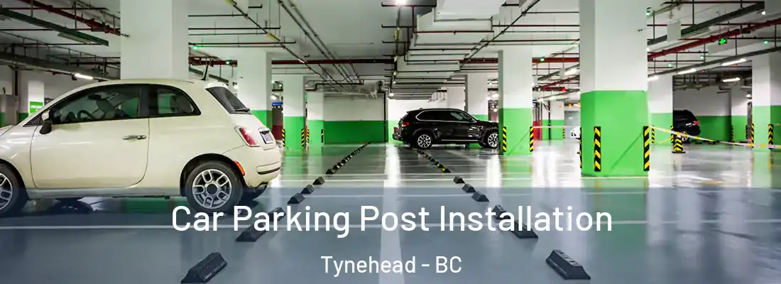 Car Parking Post Installation Tynehead - BC