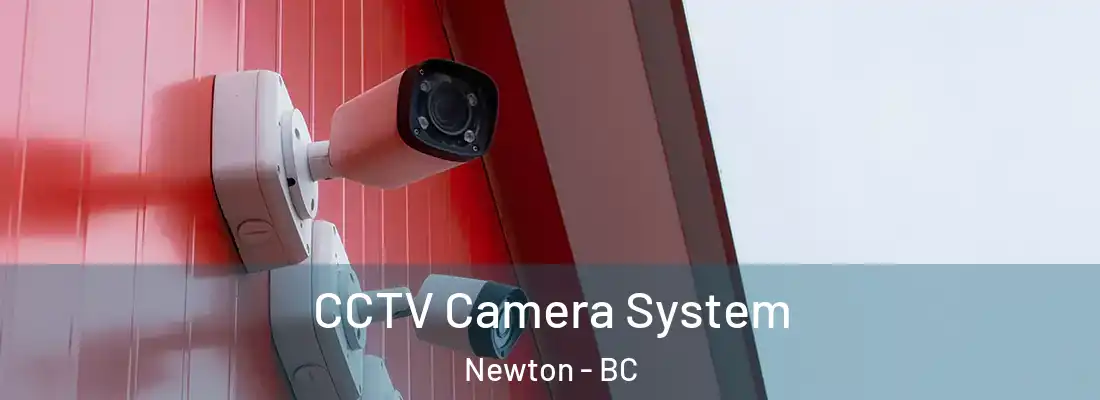  CCTV Camera System Newton - BC