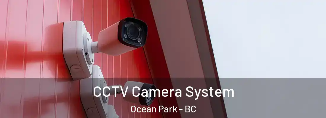  CCTV Camera System Ocean Park - BC