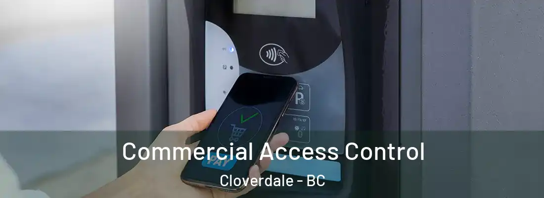  Commercial Access Control Cloverdale - BC