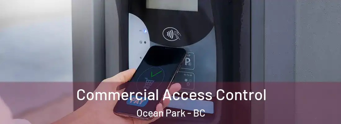  Commercial Access Control Ocean Park - BC