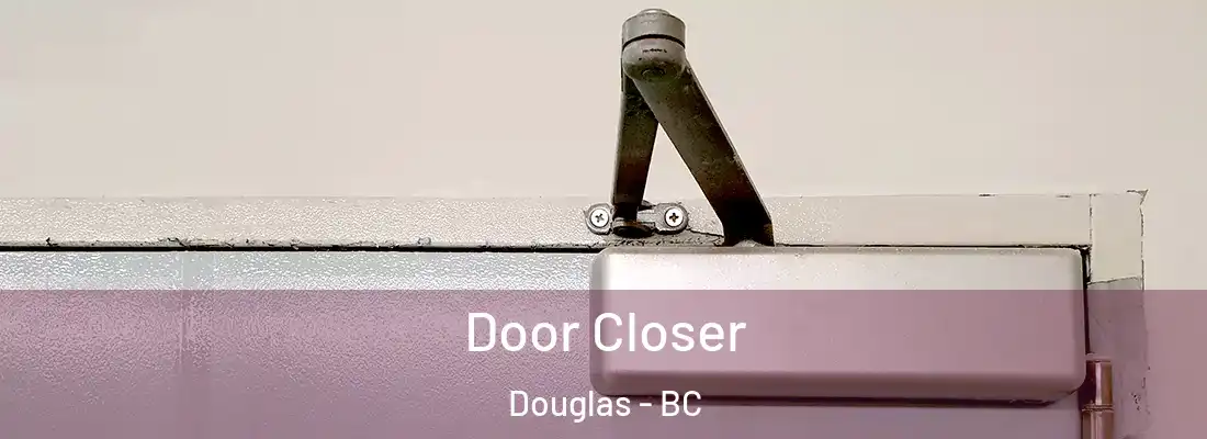  Door Closer Douglas - BC