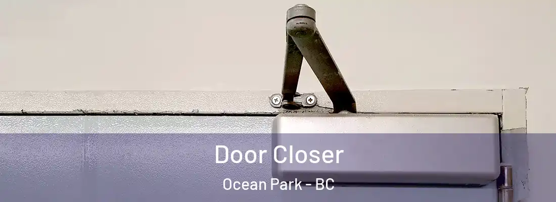  Door Closer Ocean Park - BC