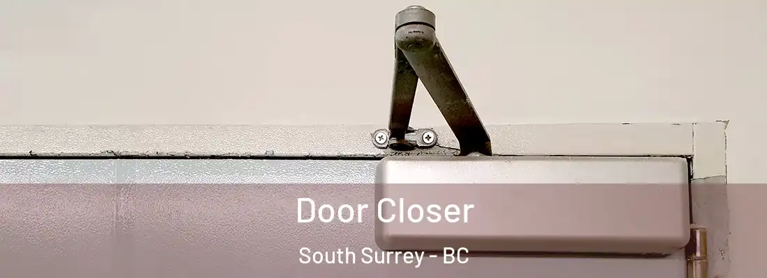  Door Closer South Surrey - BC