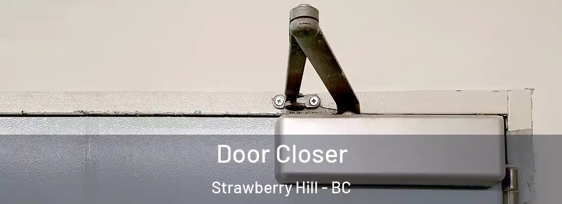  Door Closer Strawberry Hill - BC