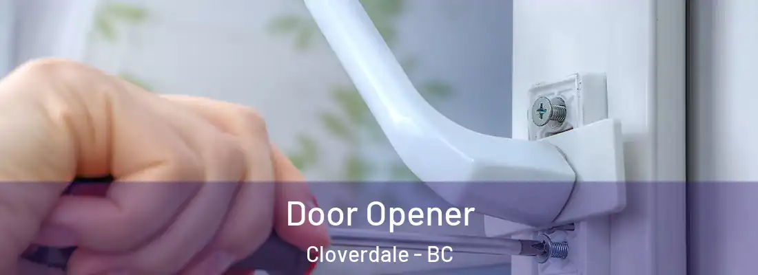  Door Opener Cloverdale - BC