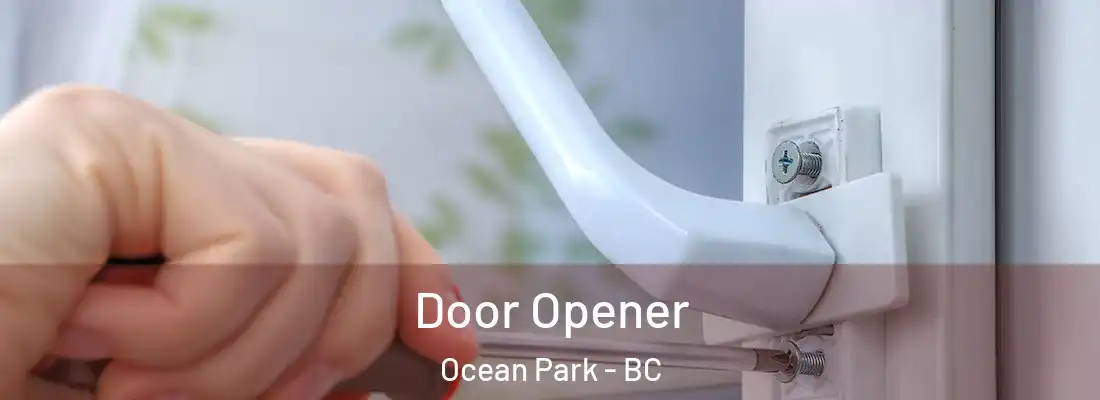  Door Opener Ocean Park - BC