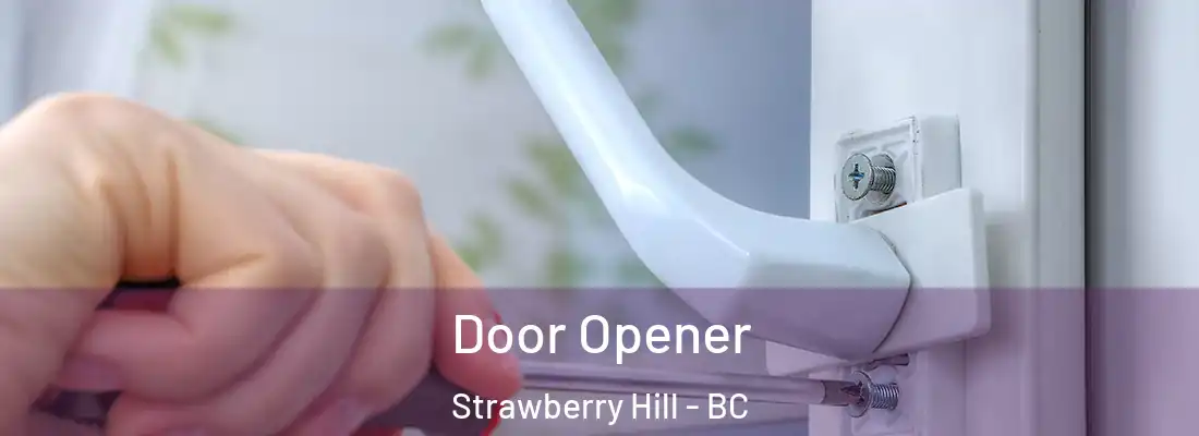  Door Opener Strawberry Hill - BC