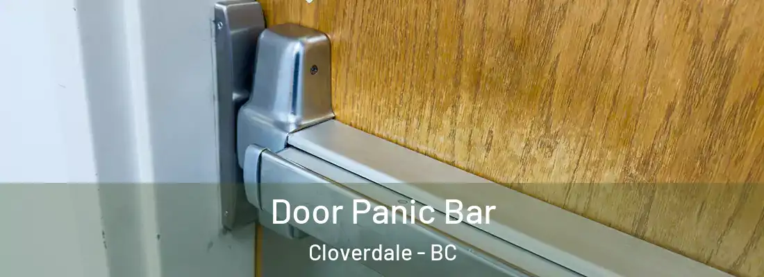  Door Panic Bar Cloverdale - BC