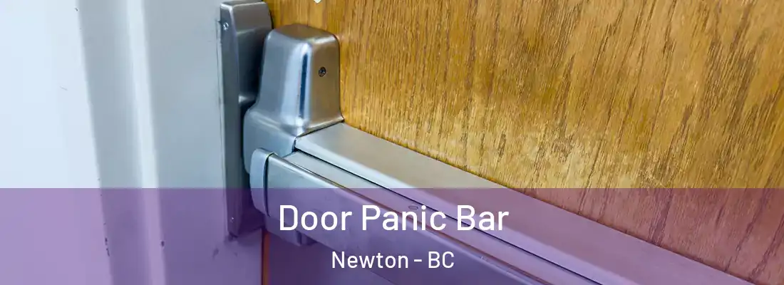  Door Panic Bar Newton - BC