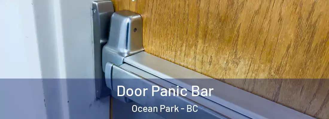  Door Panic Bar Ocean Park - BC