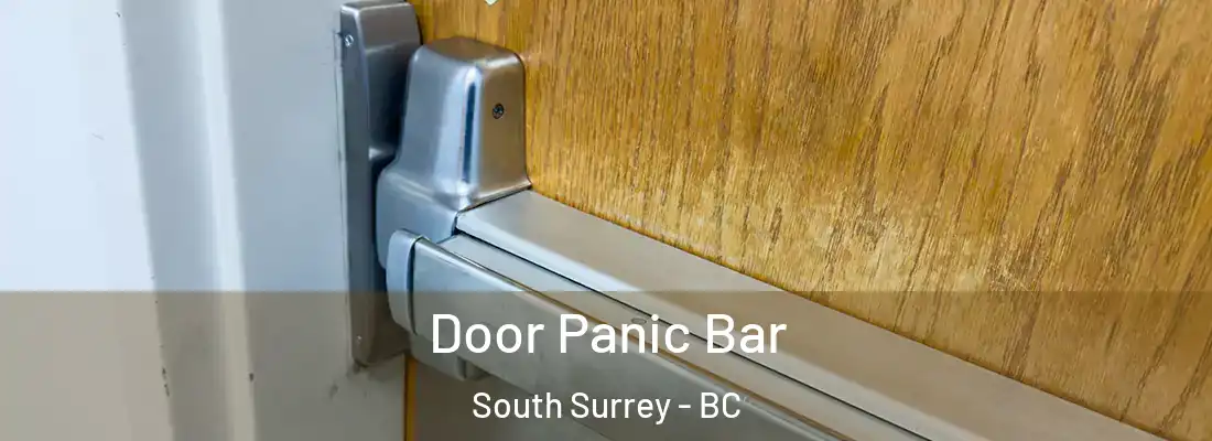  Door Panic Bar South Surrey - BC