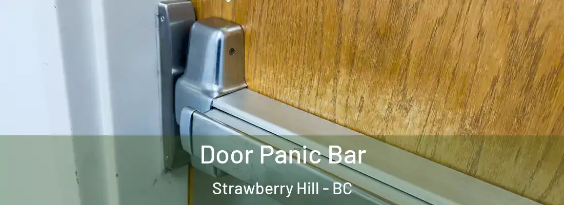  Door Panic Bar Strawberry Hill - BC