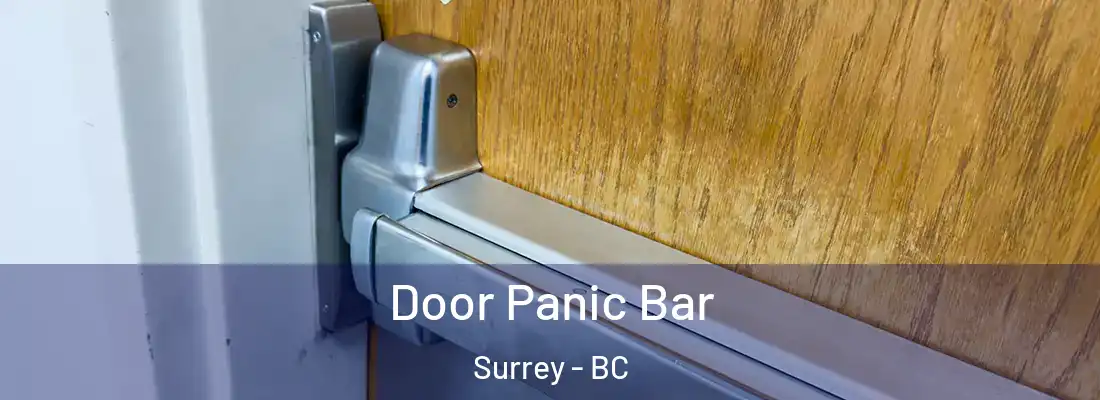  Door Panic Bar Surrey - BC