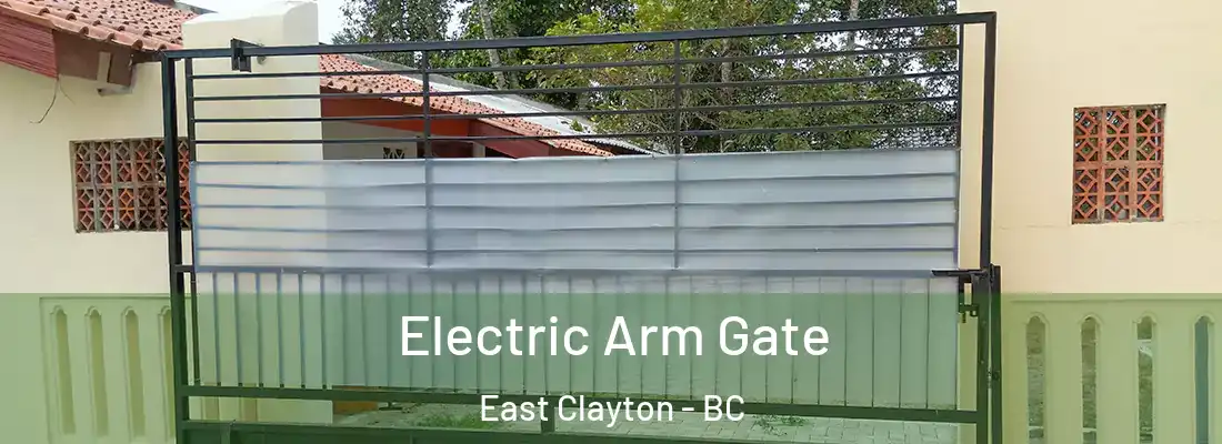  Electric Arm Gate East Clayton - BC