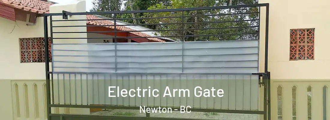  Electric Arm Gate Newton - BC