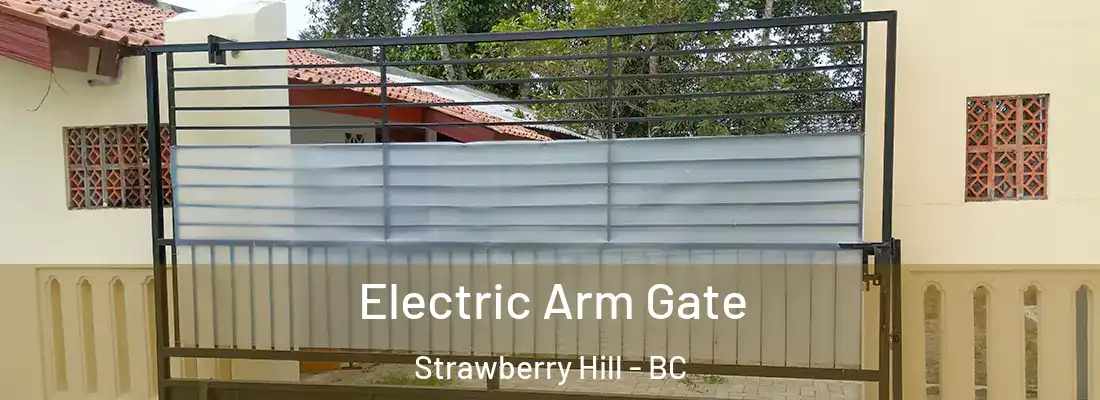  Electric Arm Gate Strawberry Hill - BC