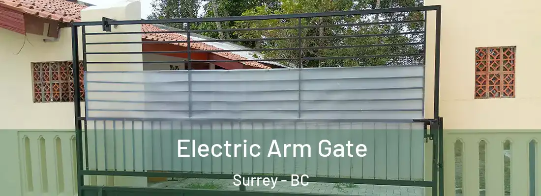  Electric Arm Gate Surrey - BC