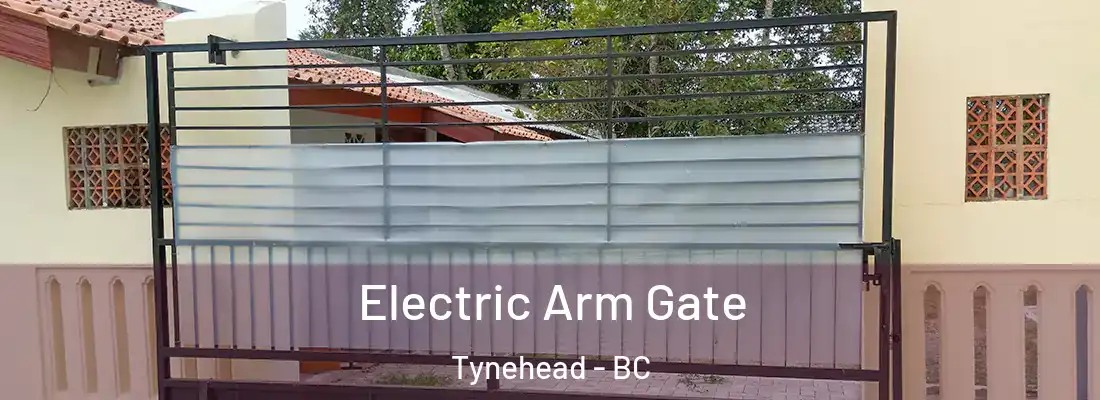  Electric Arm Gate Tynehead - BC