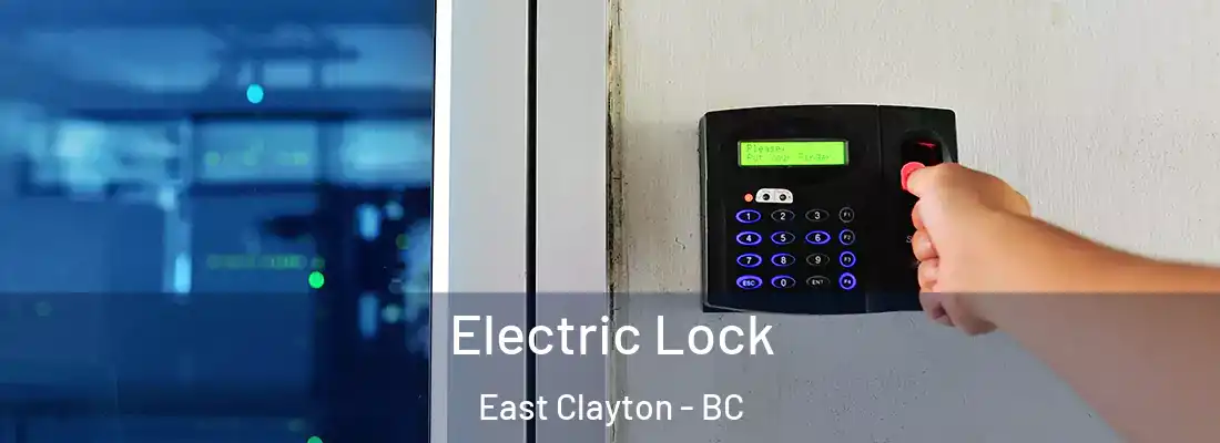  Electric Lock East Clayton - BC