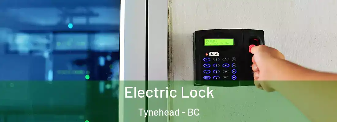  Electric Lock Tynehead - BC