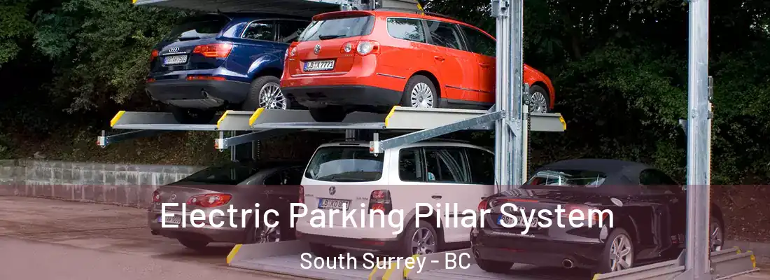  Electric Parking Pillar System South Surrey - BC