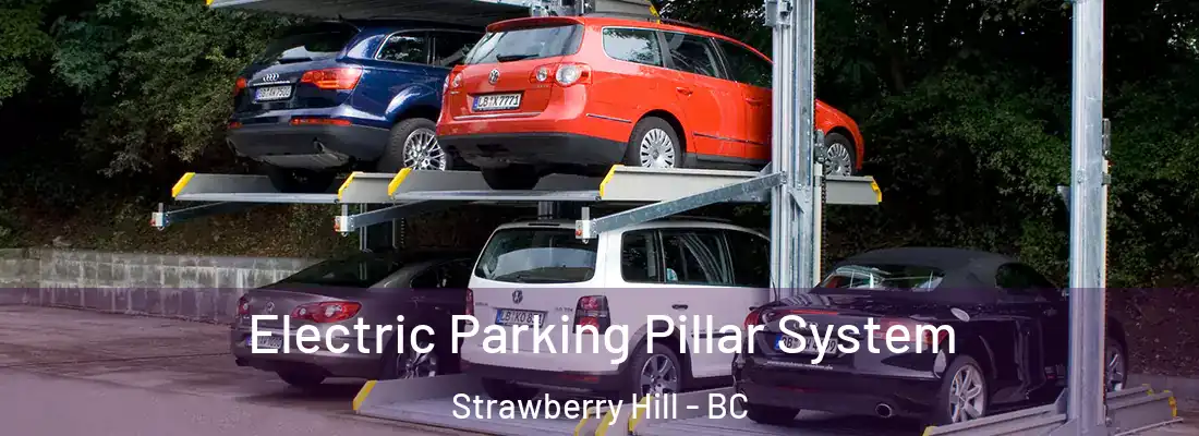  Electric Parking Pillar System Strawberry Hill - BC