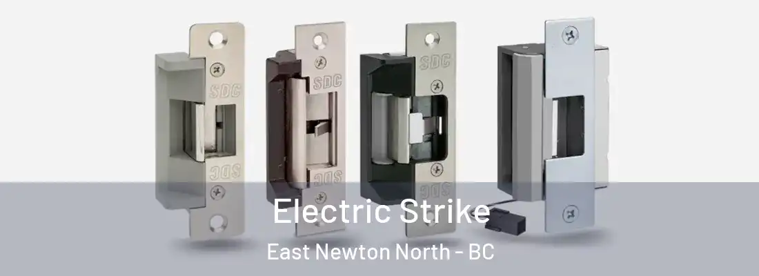  Electric Strike East Newton North - BC