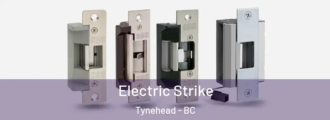 Electric Strike Tynehead - BC