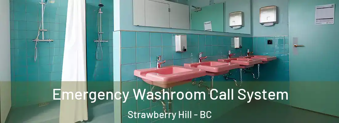  Emergency Washroom Call System Strawberry Hill - BC